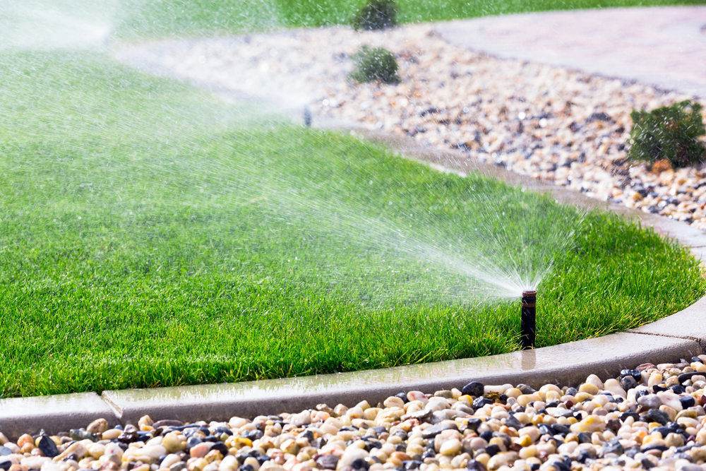 A lawn sprinkler sprays water on green grass near a stone border, with pebbles and small shrubs visible in the background.