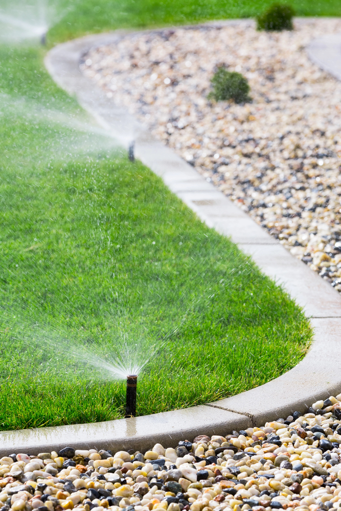 Sprinklers watering a green lawn next to a stone-lined path with decorative rocks on the opposite side.
