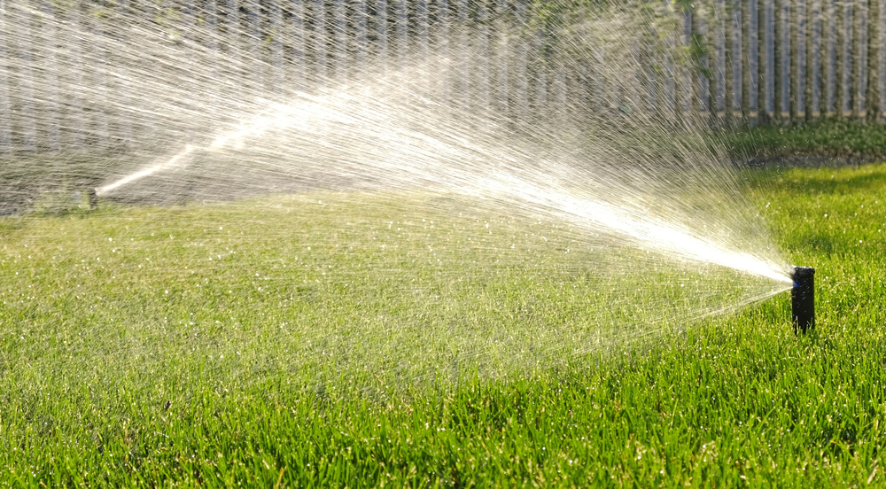 A sprinkler sprays water over a green lawn on a sunny day, with a fence and more grass visible in the background.