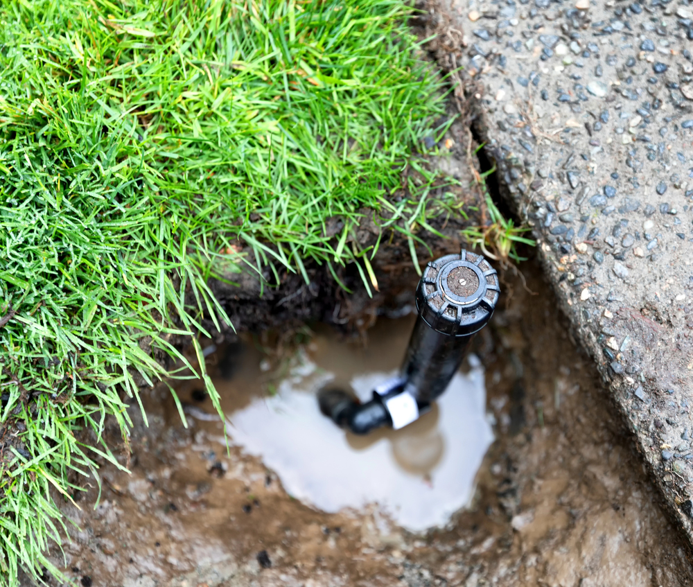 A sprinkler head is partially installed in a muddy hole next to wet grass and a concrete surface.