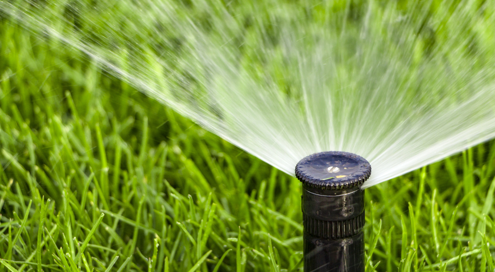 A black sprinkler head sprays water in an arc over bright green grass.
